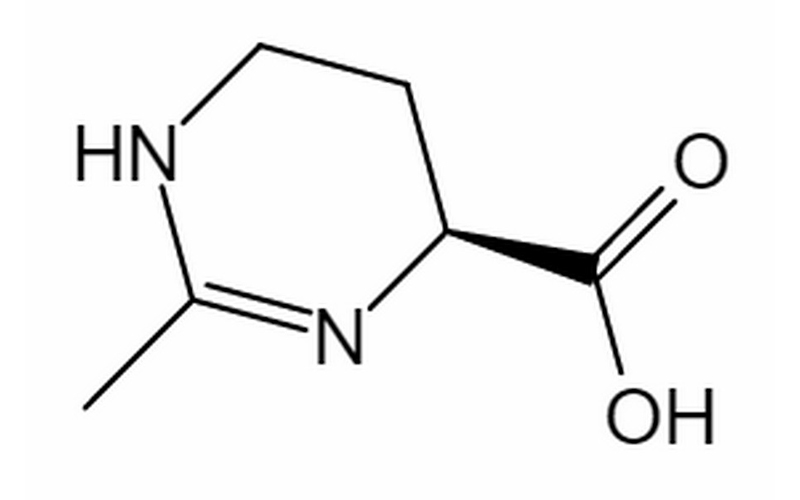 四氢甲基嘧啶羧酸 （依克多因）