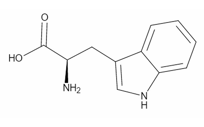 D-色氨酸
