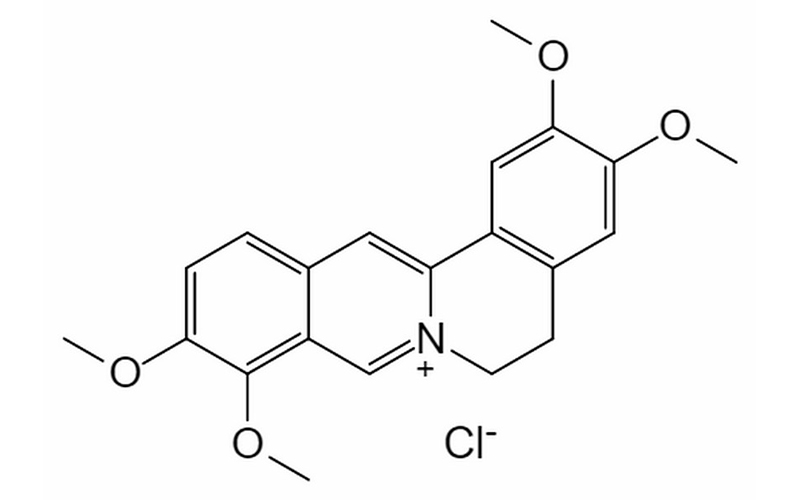 黄藤素（盐酸盐型）